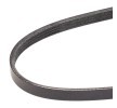 RIDEX Serpantin kayışı 870mm, Number of ribs: 4 — 2000 Toyota Tacoma (3)