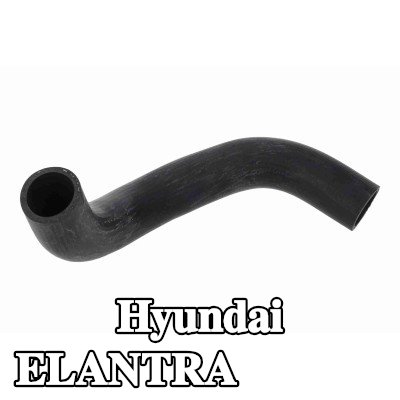 ACKOJA خرطوم المبرد السفلي — 2012 Hyundai Elantra
