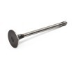 RIDEX Egzoz valfi — Audi A4 (5)