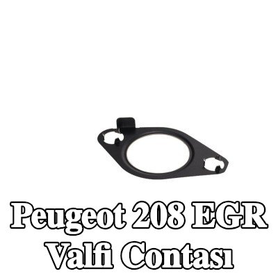 CITROEN/PEUGEOT EGR valfi contası — Peugeot 208