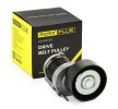 RIDEX PLUS Gergi kasnağı Dış Çap: 70mm — Audi A2 (1)