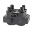 BOSCH Tutucu olmayan ateşleme bobini — 2002 Land Rover Range Rover (4)