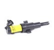 BOSCH Ateşleme bobini — SEAT Exeo (6)