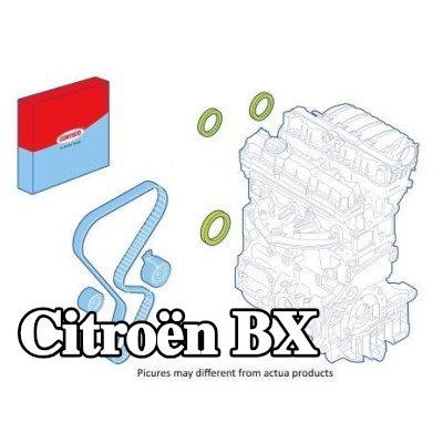 CORTECO مجموعة سدادات العمود, جانب بكرة المحرك — Citroën Bx
