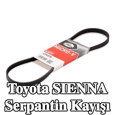 GATES Serpantin kayışı Micro-V, 878mm, Number of ribs: 4 — 2003 Toyota Sienna