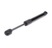 RIDEX Bagaj kapağı desteği 287mm — 1995 SEAT Cordoba (5)