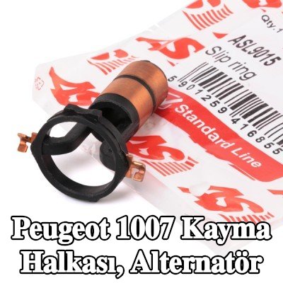 AS-PL Kayma halkası, alternatör — Peugeot 1007