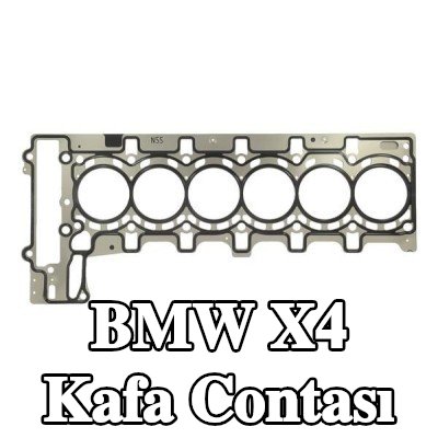 PAYEN Kafa contası 1, 19mm — 2016 BMW X4