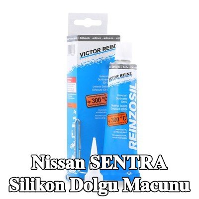 REINZ Silikon dolgu macunu — Nissan Sentra