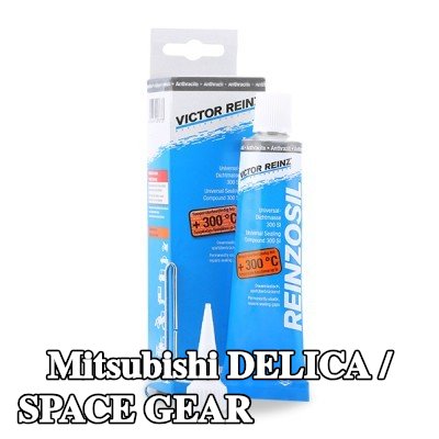 REINZ مانع تسرب سيليكون — Mitsubishi Delica / Space Gear