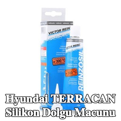 REINZ Silikon dolgu macunu — Hyundai Terracan