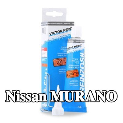 REINZ مانع تسرب سيليكون — Nissan Murano