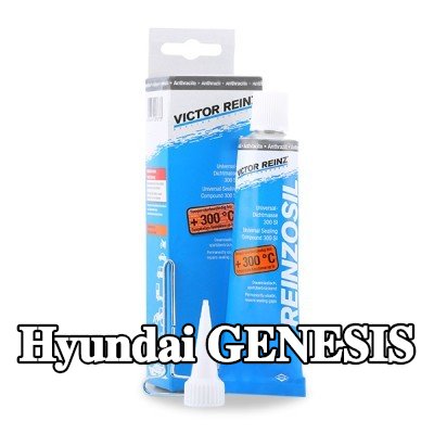 REINZ مانع تسرب سيليكون — Hyundai Genesis