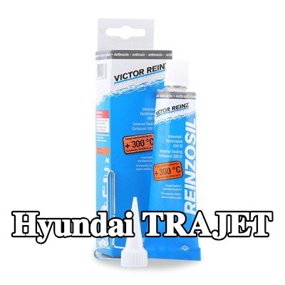 REINZ مانع تسرب سيليكون — 2000 Hyundai Trajet