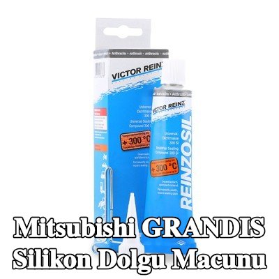 REINZ Silikon dolgu macunu — 2002 Mitsubishi Grandis