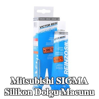 REINZ Silikon dolgu macunu — Mitsubishi Sigma