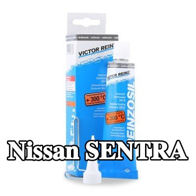REINZ مانع تسرب سيليكون — Nissan Sentra