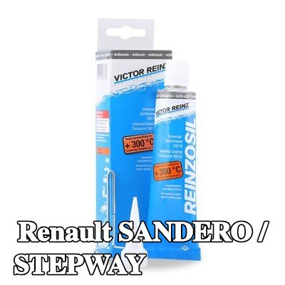 REINZ مانع تسرب سيليكون — Renault Sandero / Stepway