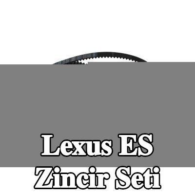 BOSCH Zincir Tahrik Kiti Diş Sayısı: 211, 1688mm, gergi elemanı ile — Lexus Es