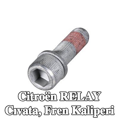 METZGER Cıvata, fren kaliperi Ön Aks Sol, Ön Aks Sağ — Citroën Relay