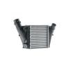 MAHLE Intercooler — Renault Wind (8)