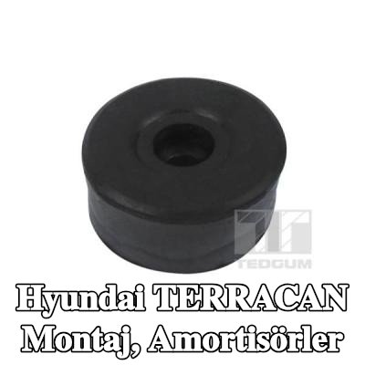 TEDGUM Montaj, amortisörler — Hyundai Terracan
