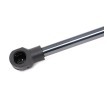 RIDEX Bagaj kapağı desteği 203mm — Ford StreetKA (3)