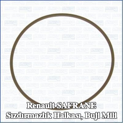 AJUSA Sızdırmazlık Halkası, buji mili — Renault Safrane