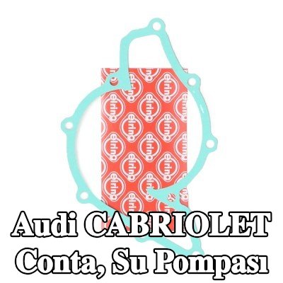 ELRING Conta, su pompası — Audi Cabriolet