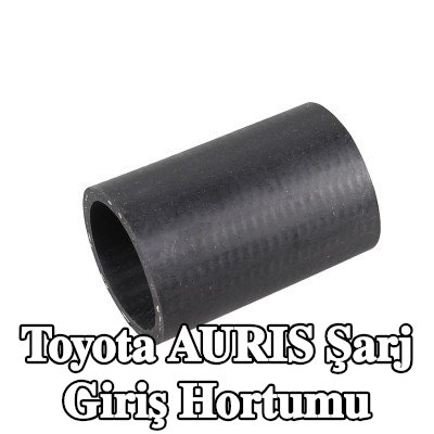 METZGER Kelepçesiz şarj emme hortumu — 2012 Toyota Auris
