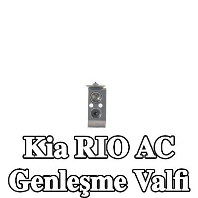 MAHLE AC genleşme valfi — 2012 Kia Rio