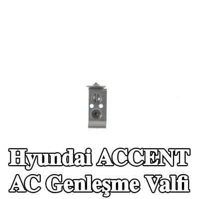 MAHLE AC genleşme valfi — Hyundai Accent