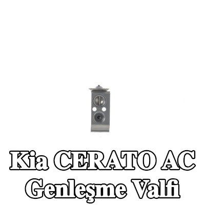 MAHLE AC genleşme valfi — 2012 Kia Cerato