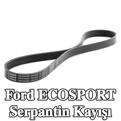 BOSCH Serpantin kayışı 976mm, Number of ribs: 6 — Ford Ecosport