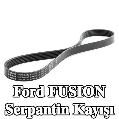 BOSCH Serpantin kayışı 976mm, Number of ribs: 6 — Ford Fusion