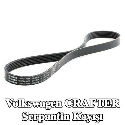 BOSCH Serpantin kayışı 976mm, Number of ribs: 6 — 2014 Volkswagen Crafter