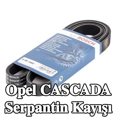 BOSCH Serpantin kayışı 1685mm, Number of ribs: 6 — Opel Cascada