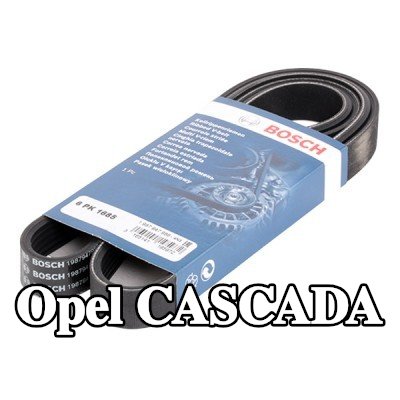 BOSCH حزام سيربنتين 1685mm, Number of ribs: 6 — Opel Cascada