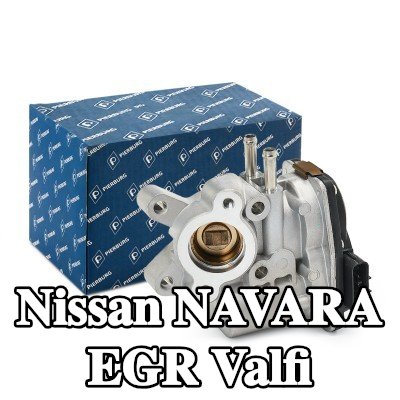 PIERBURG Contalı/sızdırmazlık elemanlı EGR valfi — 2005 Nissan Navara