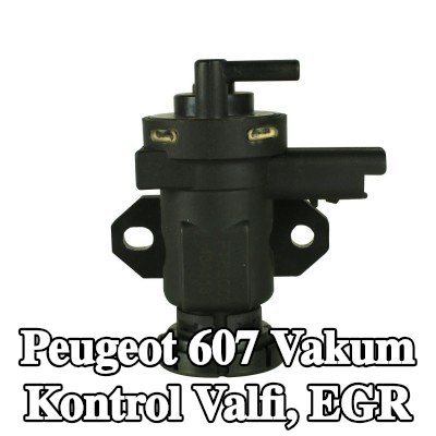 FAST Vakum Kontrol Valfi, EGR — Peugeot 607