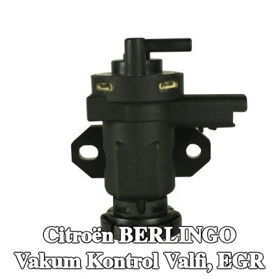 FAST Vakum Kontrol Valfi, EGR — Citroën Berlingo