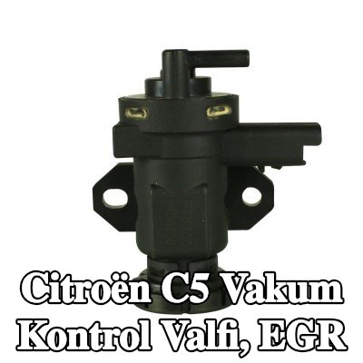 FAST Vakum Kontrol Valfi, EGR — 2002 Citroën C5
