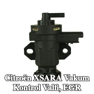FAST Vakum Kontrol Valfi, EGR — Citroën Xsara