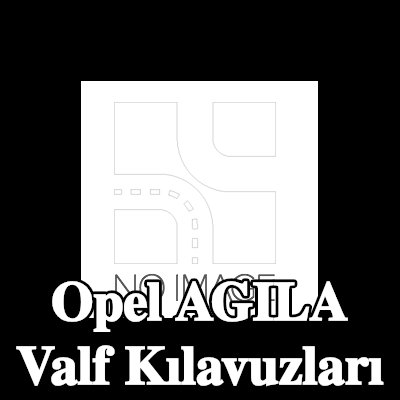 TRW Engine Component Egzoz Tarafı Valf Kılavuzları — 2003 Opel Agila