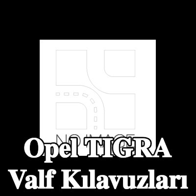 TRW Engine Component Egzoz Tarafı Valf Kılavuzları — Opel Tigra