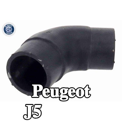 VAICO خرطوم المبرد — Peugeot J5