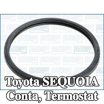 AJUSA Conta, termostat — Toyota Sequoia