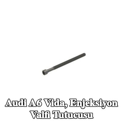 ENGITECH Vida, enjeksiyon valfi tutucusu — Audi A6