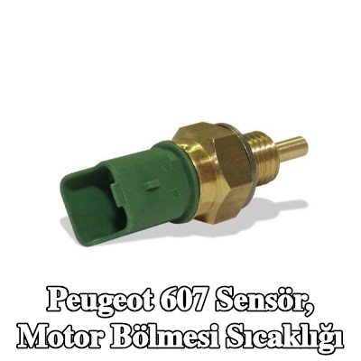 MAHLE Sensör, motor bölmesi sıcaklığı — Peugeot 607