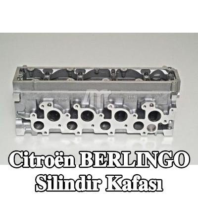 AMC Valf kılavuzları ile silindir kafası, valf yuvaları ile, eksantrik mili (ler), valf yayları olmadan, valfsız — 2002 Citroën Berlingo
